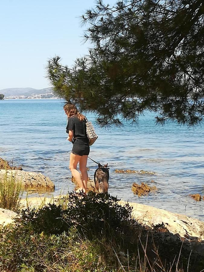 Villa Caroline Trogir Zewnętrze zdjęcie